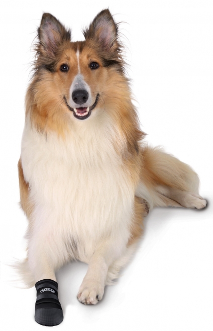 142013_42564_gq2o-af