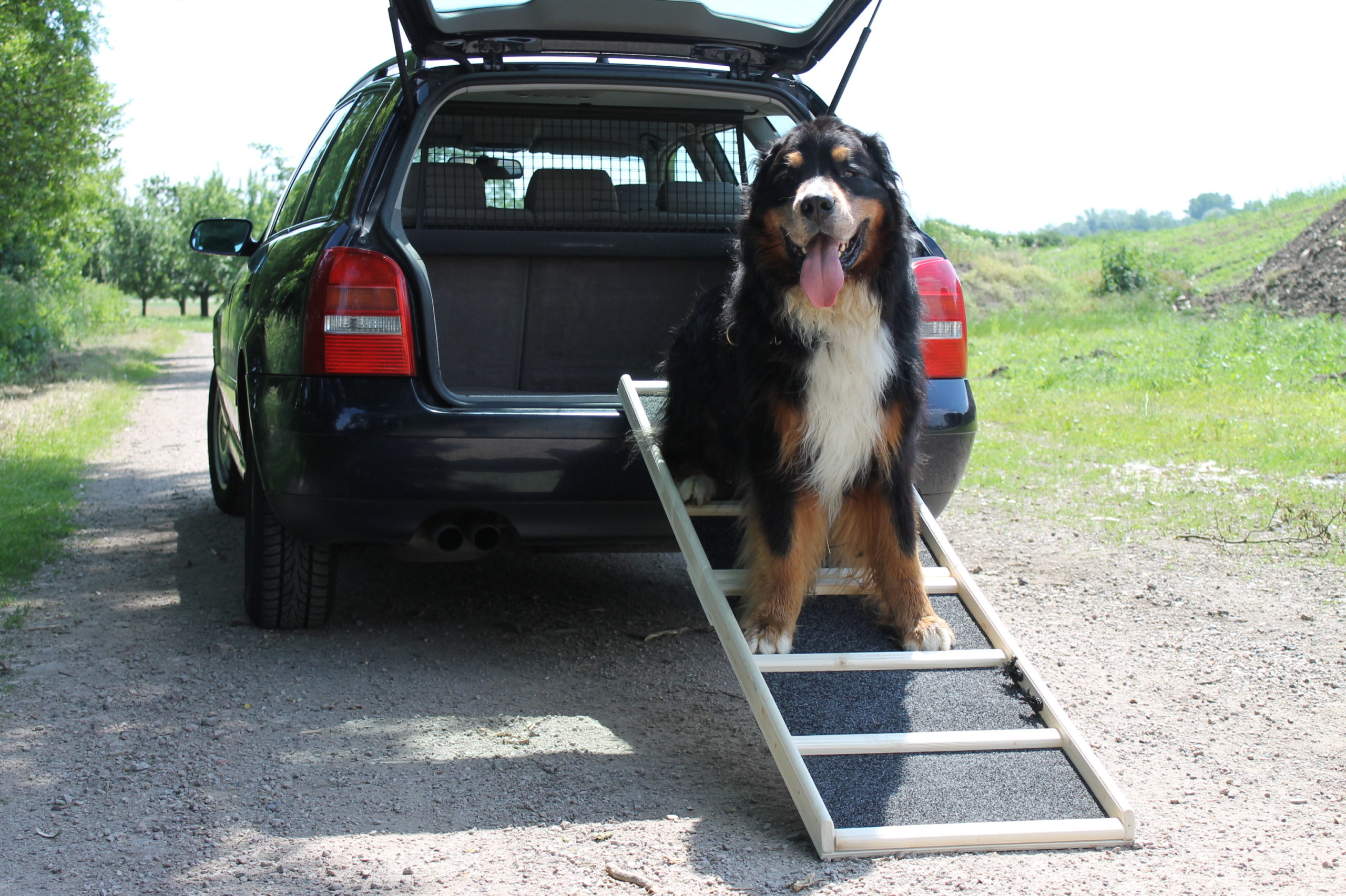 160x50_Komfort_natur_Rasen_2