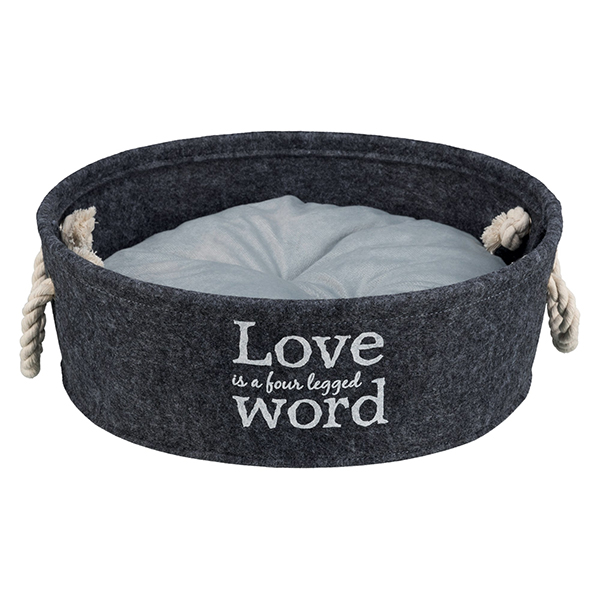 38395_38396_bett_lian_1_1_-1