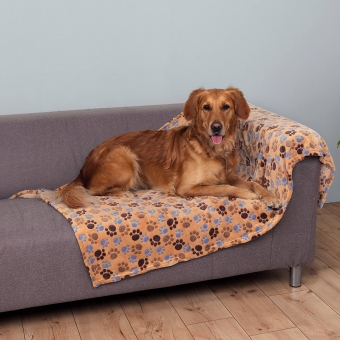 laslo_beige_gross_dhtb-fy