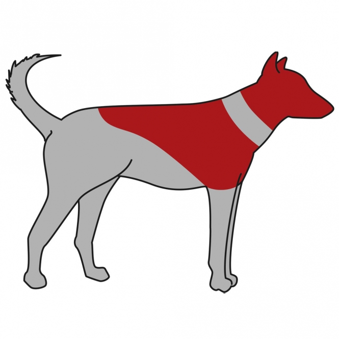 19540-trxi-var-1_jyr1-fk