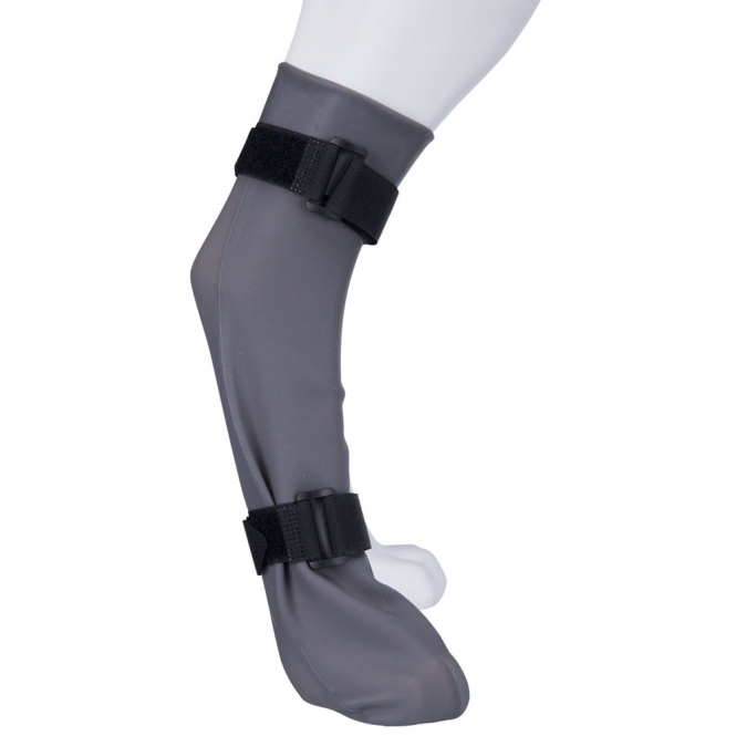 19431-trxi-var_t9ny-0b