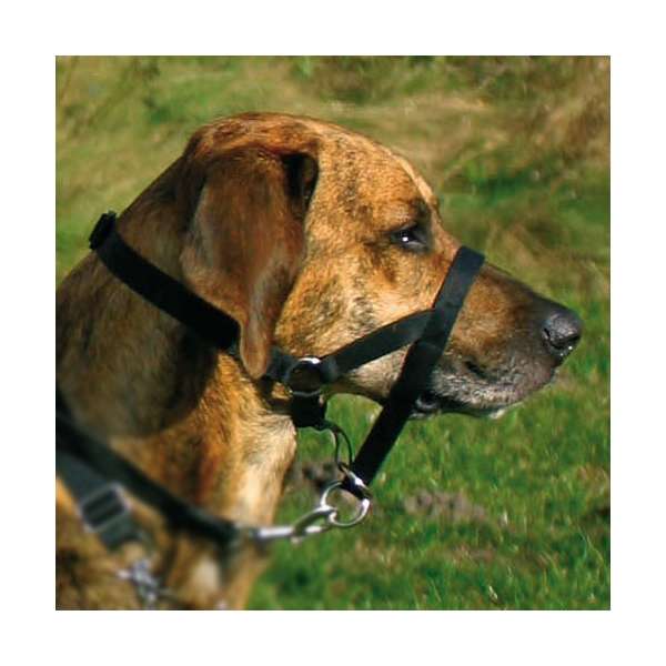 13001-trxi-var_bg0d-71-1