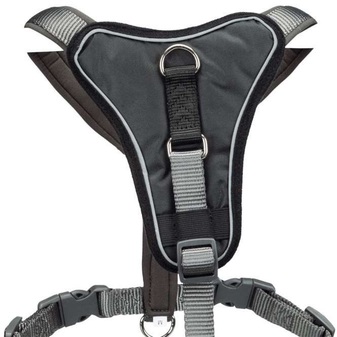 1998016-trxi-1_josf-zi