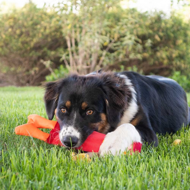 hozi002a-hac-var-1_l7ww-ej-1