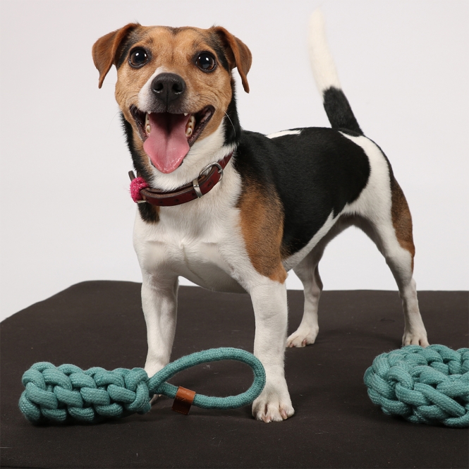 4047059480342_sc1_webl_n8jk-1u